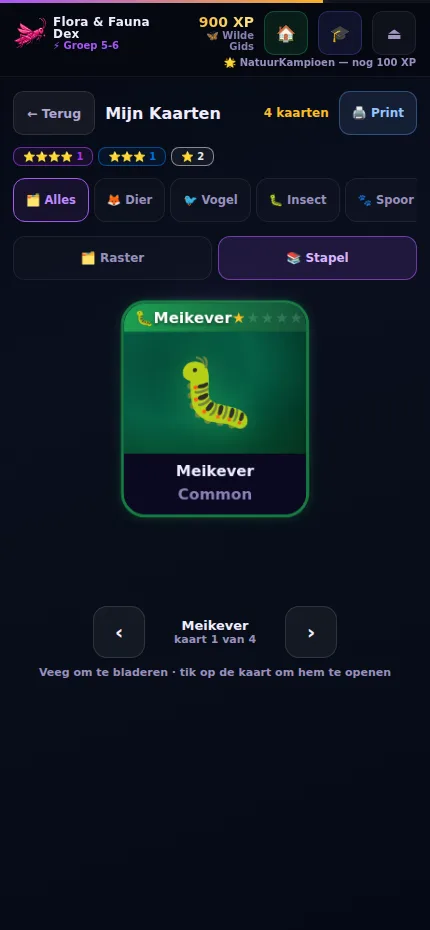 De verzameling als kaartenstapel: de meikever ligt bovenop, met bladerknoppen eronder.